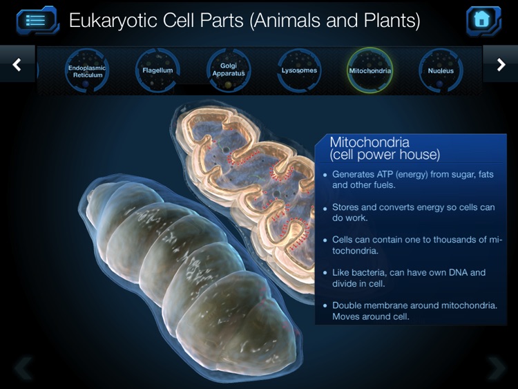 Cell and Cell Structure screenshot-3