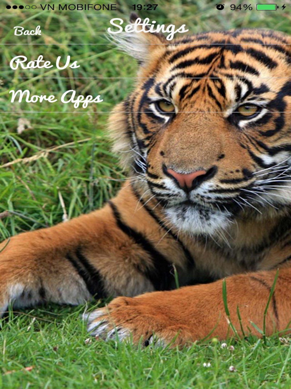 Tiger Sounds - Tiger Sounds for Kids iPad screenshot 4 - Music app