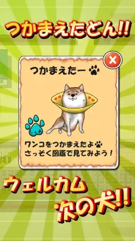 Game screenshot School Dog apk