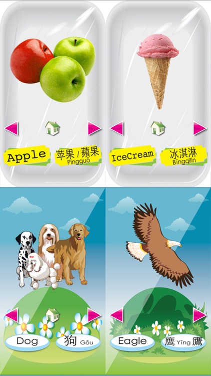 Baby School -(Chinese+English) Voice Flash Cards