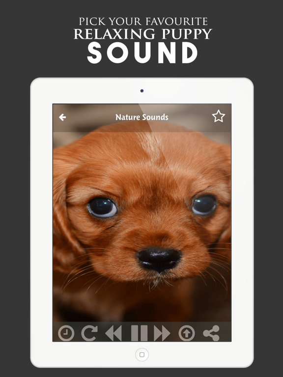 Screenshot #6 pour Puppy Sounds:Calming Music For Relaxation & Sleep