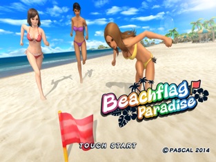 Beach Flag Paradise, game for IOS