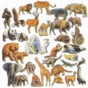 Animal Atlas app download