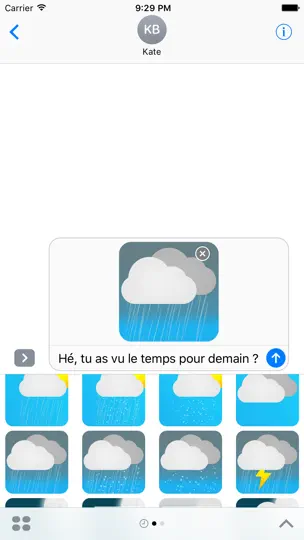 Capture d'écran de Meteociel Weather Stickers Pack sur iPhone 1