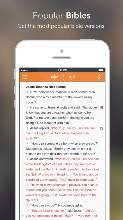 Holman Bible