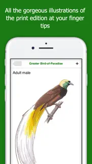 birds of new guinea iphone images 2