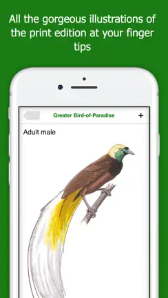 Birds of New Guinea iPhone image 2