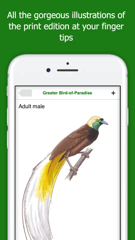 Birds of New Guinea screenshot 2 of 5