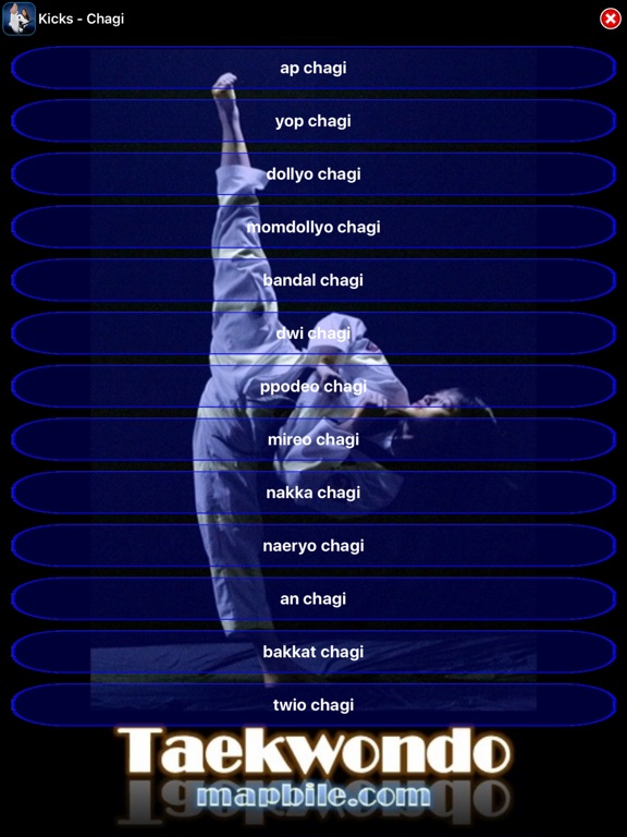 Screenshot #5 pour Taekwondo WTF