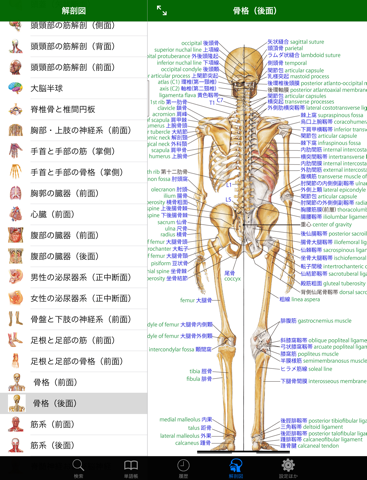 ステッドマン医学大辞典 改訂第６版のおすすめ画像5