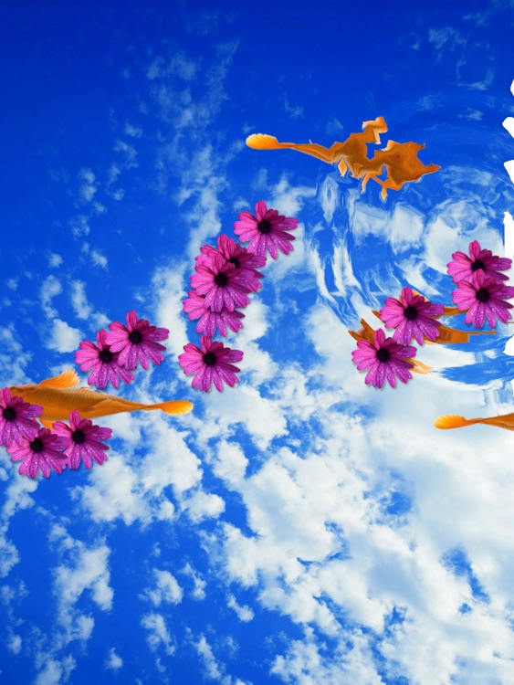Koi & Flower HD