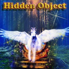 Activities of Hidden Magic Forest