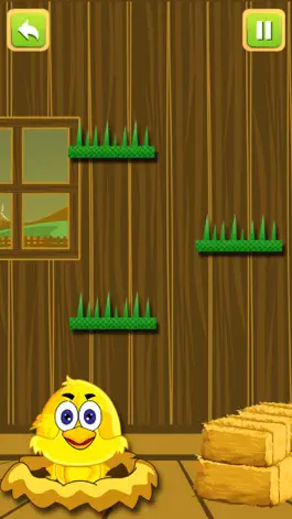 Game screenshot Chicken Catch Fun! Juju Chick On The Beat hack