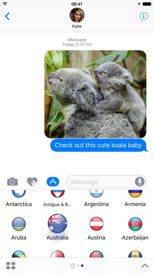 Flags – 國旗貼紙的iMessage