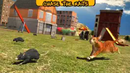 Game screenshot Street Cat Sim 2016 apk