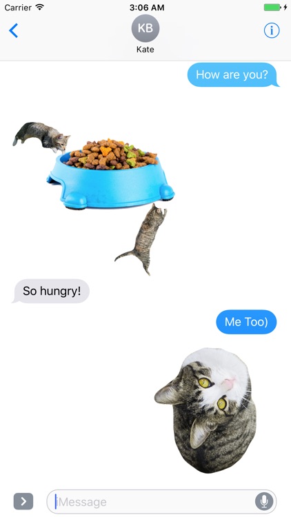 Cat Stickers for iMessage : Cats & Cat Heads
