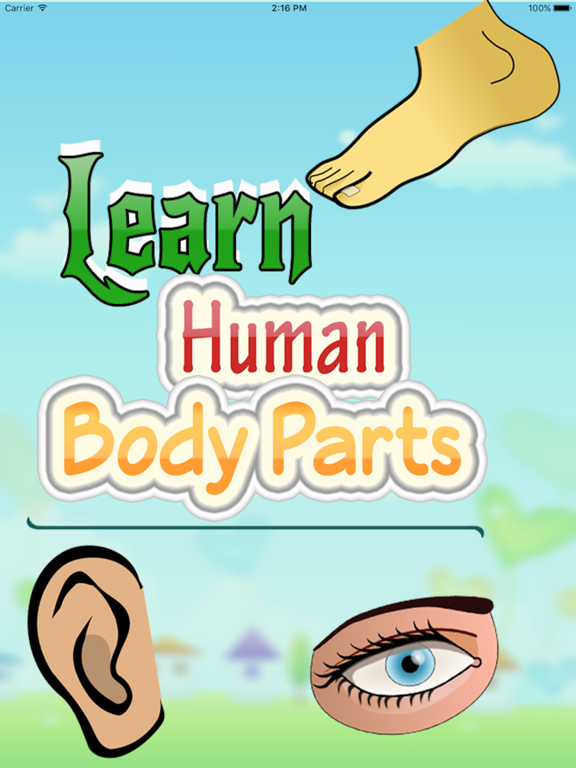 Screenshot #5 pour Human Body Guide For Kids