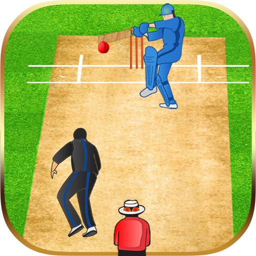 Super Over Cricket iOS App