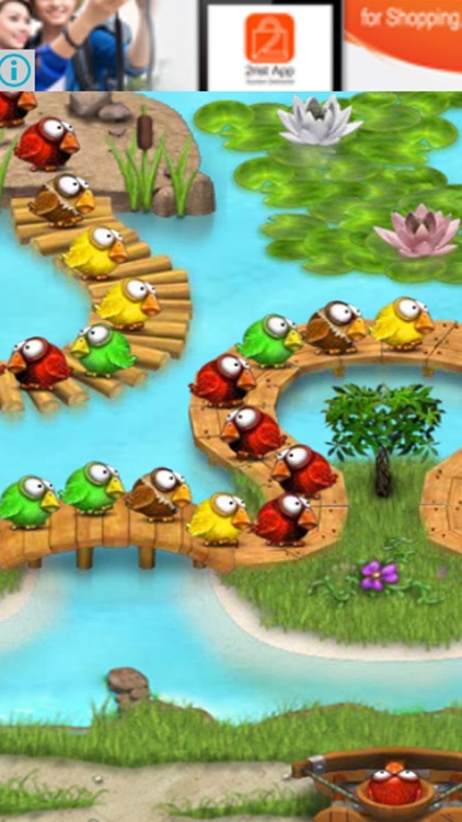 Marble Bird Revenge 2016 HD Edition