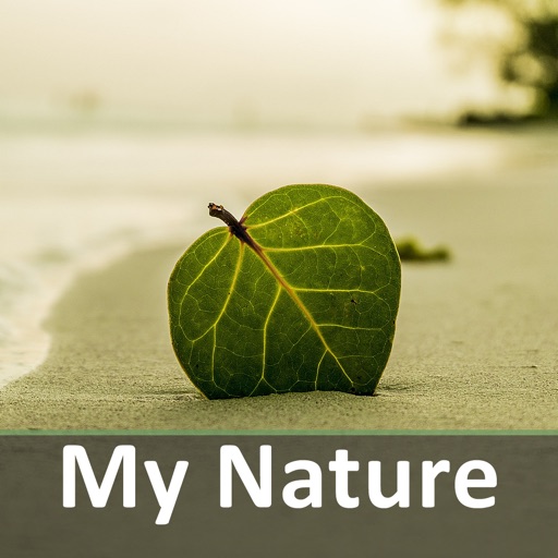 My nature sounds & relax music iOS App