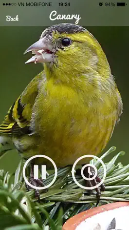 Game screenshot Bird Sounds -Bird relax,sleep Sounds hack