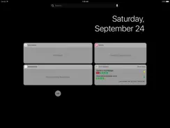 Is It Down? – Uptime Checker Widget iPad image 2