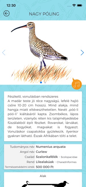 Madárhatározó(圖4)-速報App