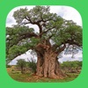 eTrees of Southern Africa icon