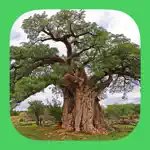 ETrees of Southern Africa App Support