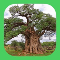 eTrees of Southern Africa logo