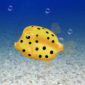 螢幕擷取畫面 (3) Boxfish simulation game