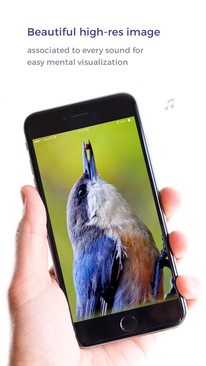Sleepy - Relaxing, classical music for sleep Pro screenshot-3