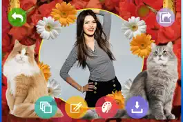 Game screenshot Cat Photo Frames apk