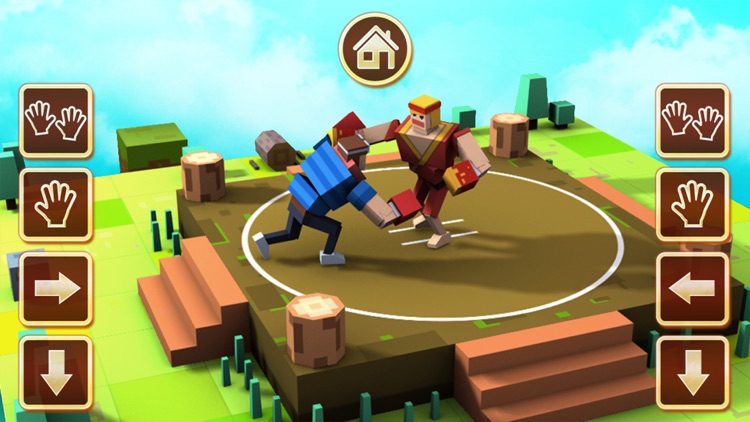 Happy Sumotori Dreams screenshot-3