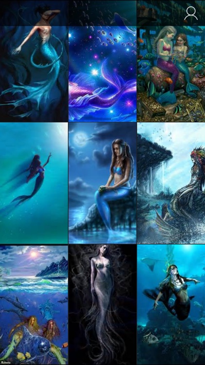 Mermaid real HD wallpapers  Pxfuel