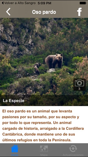 Tierra de Osos(圖3)-速報App