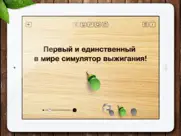 Выжигание айпад изображения 2
