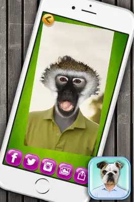 Game screenshot Animal Face Photo Booth with Funny Pet Sticker.s hack