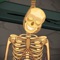 Escape Game: Skeleton House is a point and click escape game