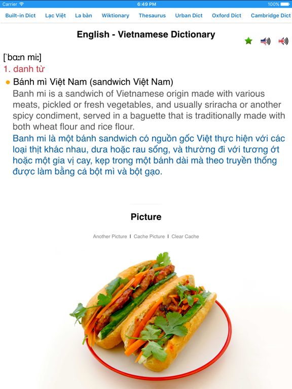Screenshot #4 pour Vietnamese Dictionary