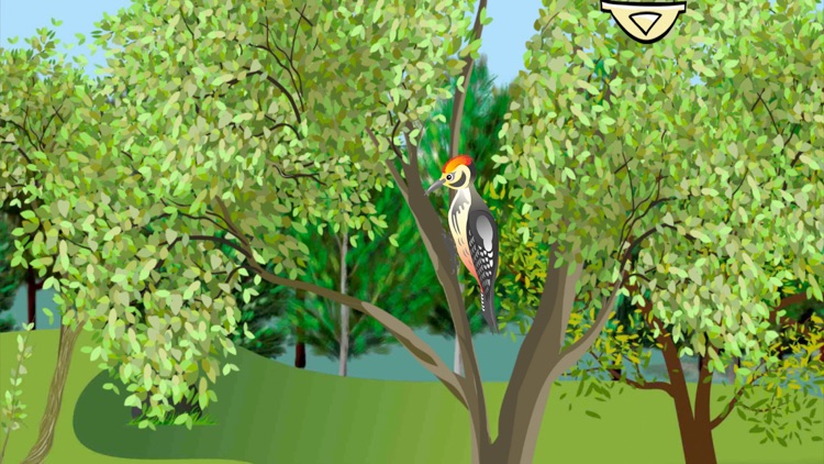 Лисиця - interactive book