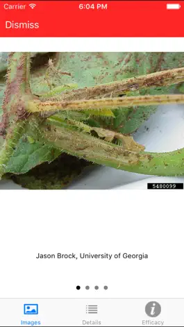 Game screenshot VegDr hack