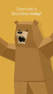 blockbear! problems & solutions and troubleshooting guide - 4