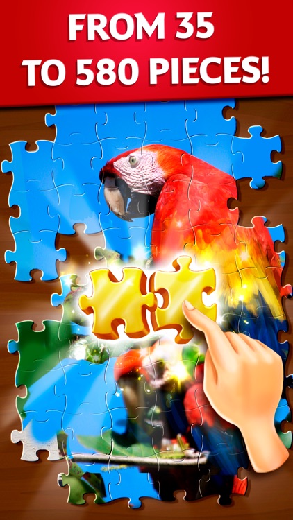 Jigsaw Puzzles Daisy screenshot-0