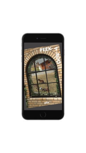 AR PEEK-A-BOO(圖2)-速報App