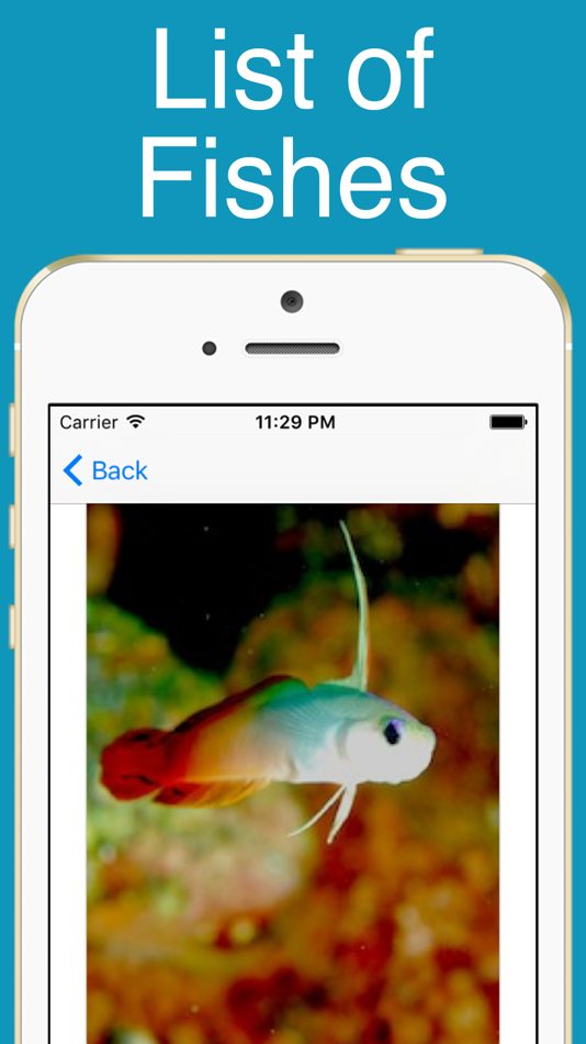 World Fishes! - 1.0.0 - (iOS)