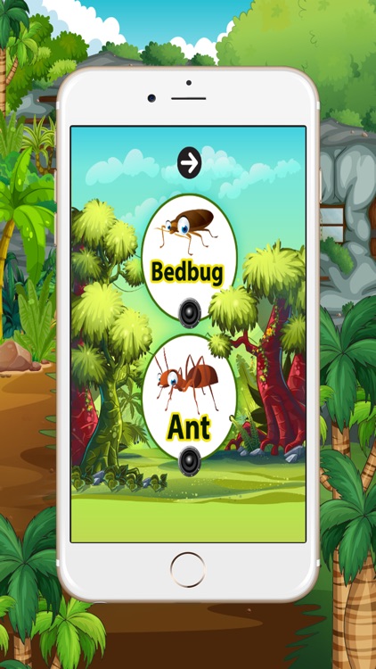 Learn English beginners : Insect : learning games for kids - free!!