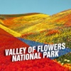 Valley of Flowers National Park Tourism Guide