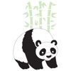 Bamboo Panda - Fairbanks, AK webcams fairbanks ak 