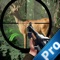 Animal Deer Pro